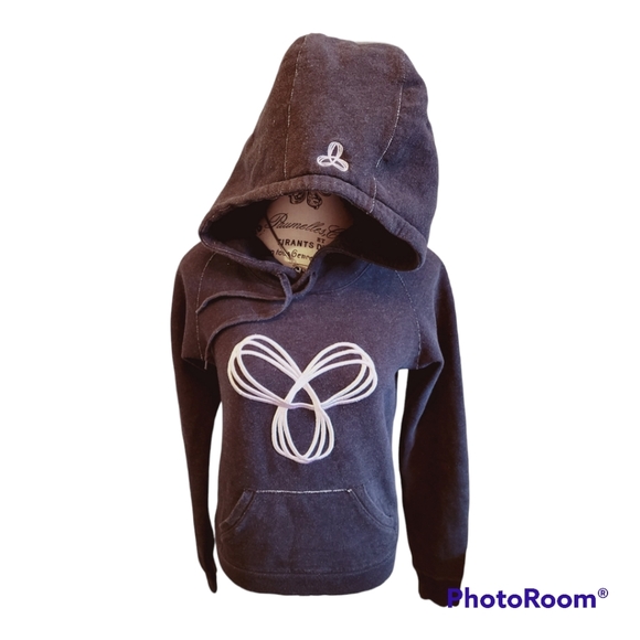 ARITZIA Tna Baltic Embroidered Pullover Hoodie - Picture 4 of 6